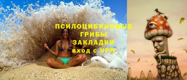 гидра Алексин