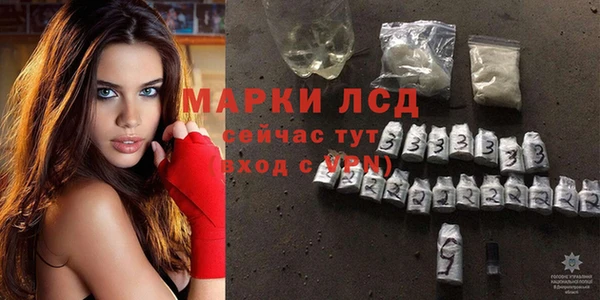 гидра Алексин
