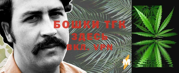 гидра Алексин