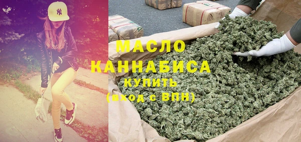 индика Абинск